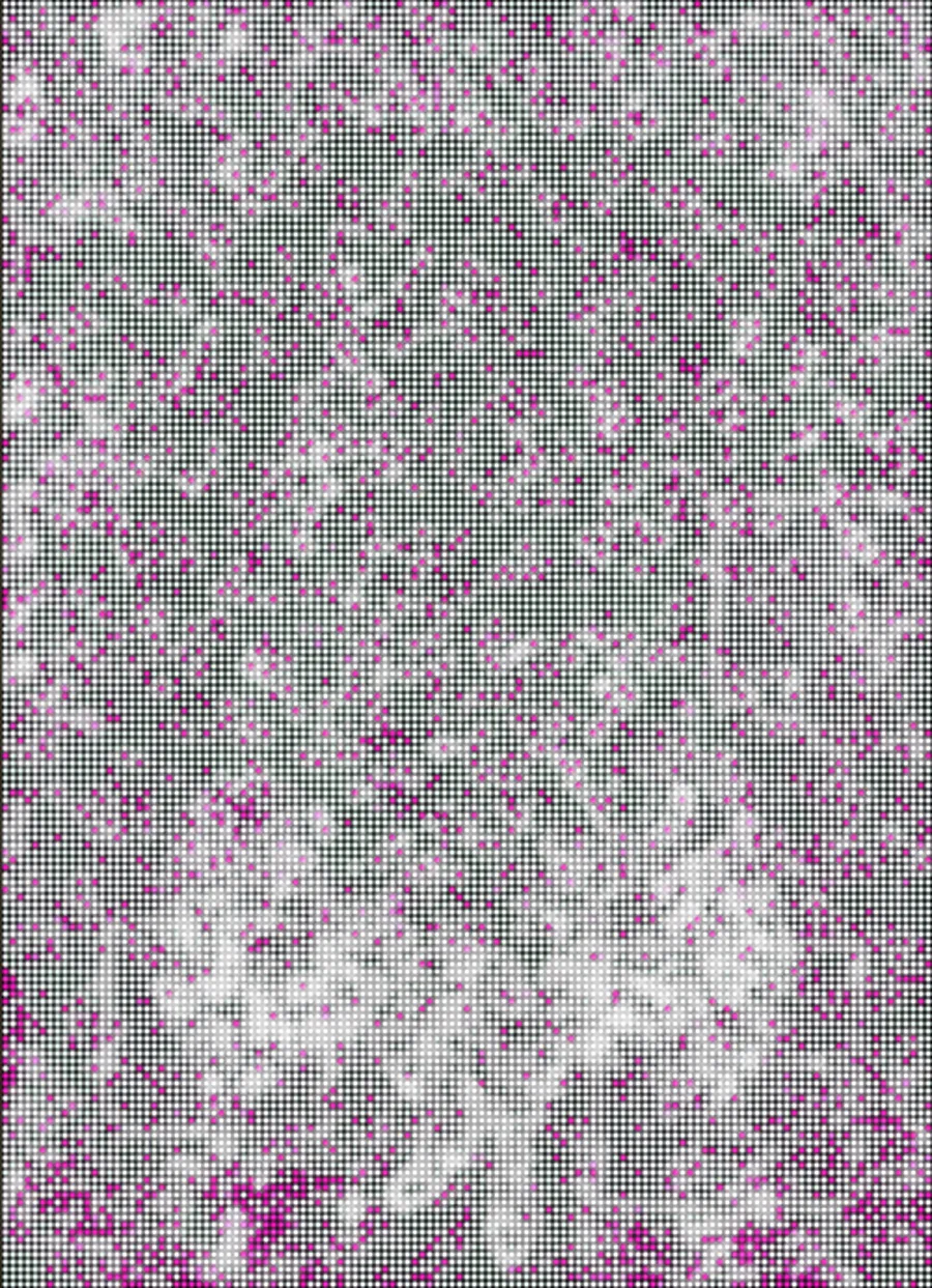 The same portrait, fully decayed by the simulation